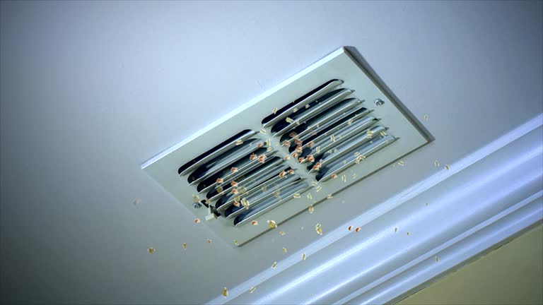 Best Home Air Vent Cleaning  in Springfield, NE